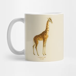 Giraffe Mug